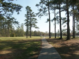 Frá Pines Lake golfvellinum í Louisiana Bandaríkjunum, sérstæðasta  golfvellinum að mati Sigurpáls Geirs.