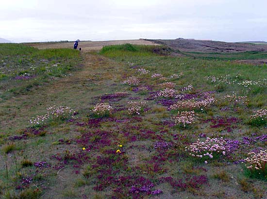 8. braut Garðavallar undir Jökli. Mynd: Golf 1